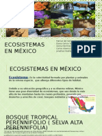 Ecosistemas en México