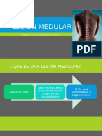 Lesión Medular