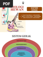 Sistem Gerak