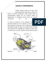 Componentes de La Saliva