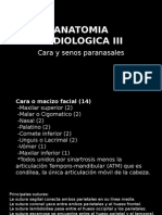 Ar III Cara y Senos Paranasales 15ava C