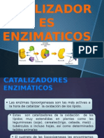 Catalizadores Enzimáticos