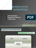 Obstrucción Intestinal