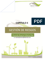 Gestión de Riesgos PDF