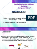 BRUCELOSIS Seccion 01