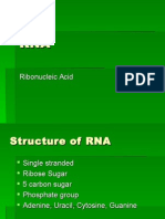 RNA PowerPoint