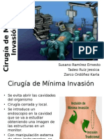 Cirugía de Mínima Invasión