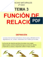 Ciencias Naturales de 2ºESO. Tema 3: Funcion de Relacion