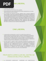 Cam Laboral Educacion Especial