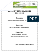 Síntesis y Optimización de Procesos