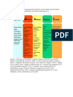 Lean Six Sigma and The DMAIC Model