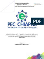 Manual Primera Capacitación Pec 15