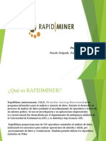 Rapid Miner