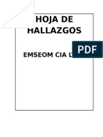 Hoja de Hallazgos