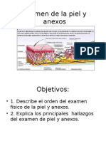 Semiología - Piel