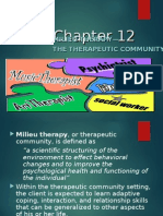 Milieu Therapy (1) FINAL)