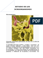 Estudio de Los Microorganismos