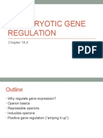 Prokaryotic Gene Regulation Notes