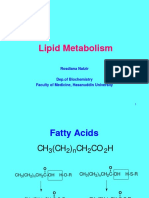 Lipid Metabolism