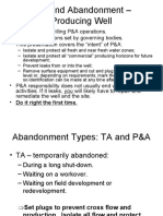 Plug and Abandonment - Producing Well