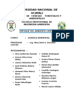 Quimica Ambiental Unu