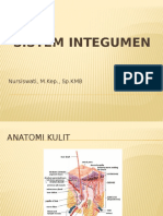 Pengantar Sistem Integumen