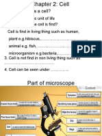 2.1 What Is A Cell?