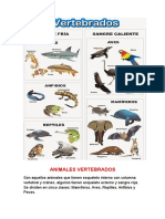 Animales Vertebrados