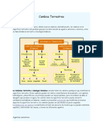 Cambios Terrestres