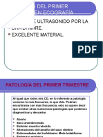 Patología Del Primer Trimestre