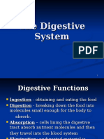 Digestive System Powerpoint