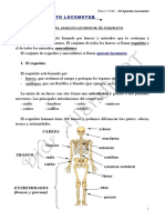 Aparato Locomotor