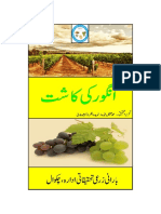 Production Technology of Grapes in Punjab