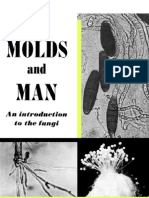 The Molds and Man