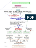 Resume Proces Penal