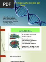 Empaquetamiento DNA