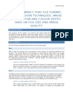 D2: The Impact That File Format, Compression Techniques, Image Resolution and Colour Depth Have On File Size and Image Quality