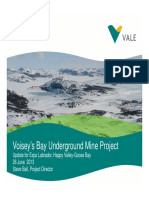 Voisey Bay C&F