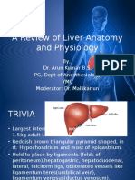 A Review of Liver Anatomy and Physiology