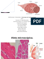 Histologia de Musculos