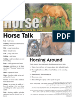 Horse Ag Mag