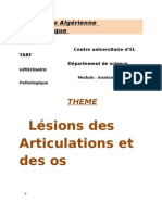 Lésions Des Articulations Et Des Os