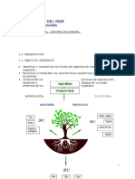 Apuntes de Cátedra Morfología Vegetal