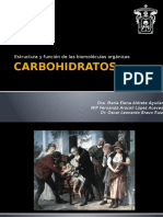 CARBOHIDRATOS Presentacion