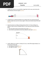 10 Worksheet - Projectile