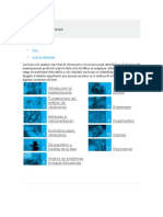 Curso Básico de Mantenimiento Sinais