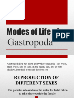 Modes of Life of GASTROPODA