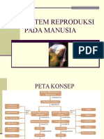 Prresentaasi Sistem Reproduksi Pada Manusia