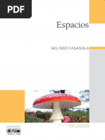 Espacios - Gelindo Casasola