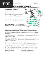 Dna Structure gp13